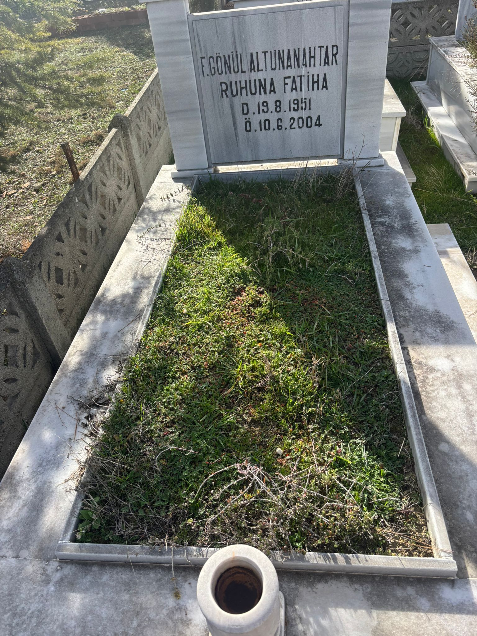 GÖNÜL ALTINANAHTAR