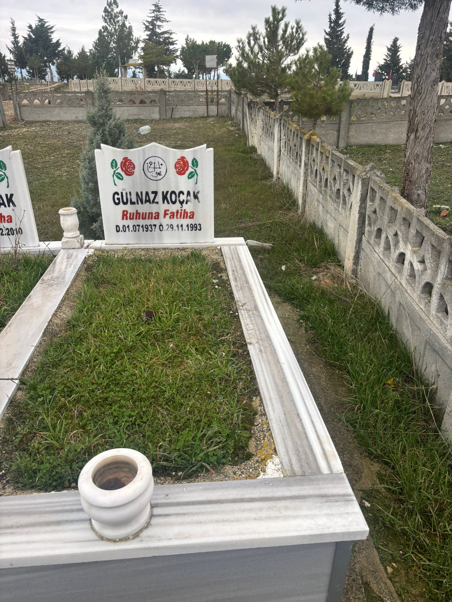GÜLNAZ KOÇAK