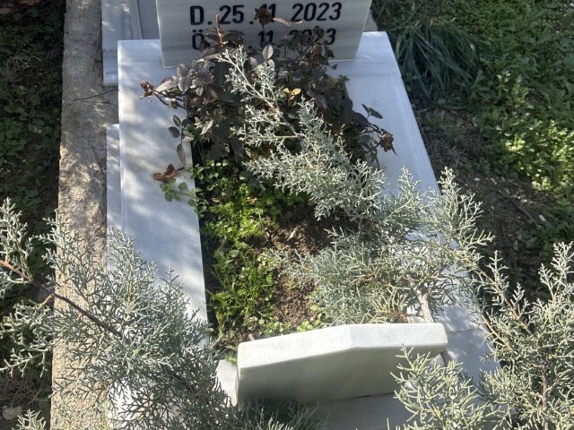 ELİF SARE ÇETİNKAYA