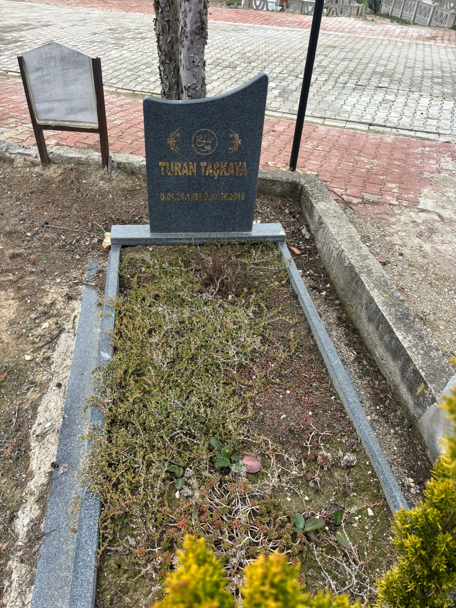 TURAN TAŞKAYA