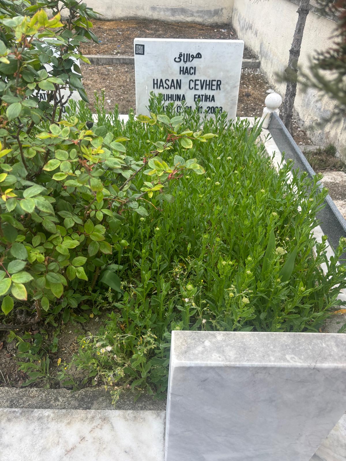 HASAN CEVHER