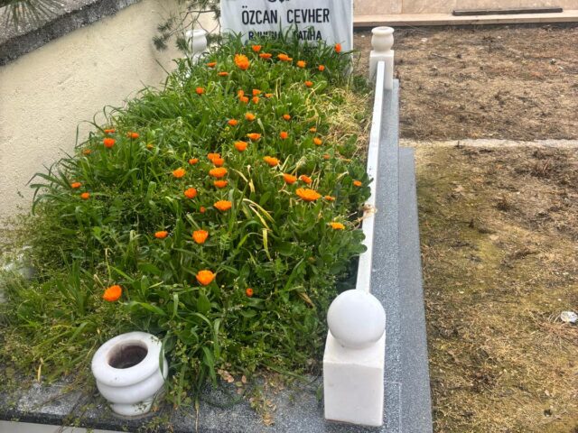 ÖZCAN CEVHER