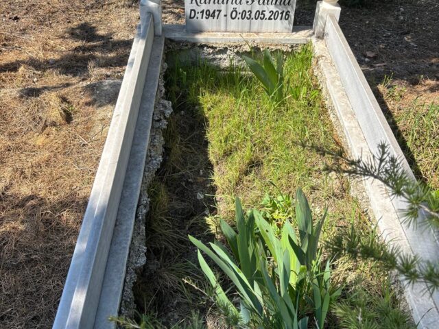 SAİT ERKAN DÜZTAŞ