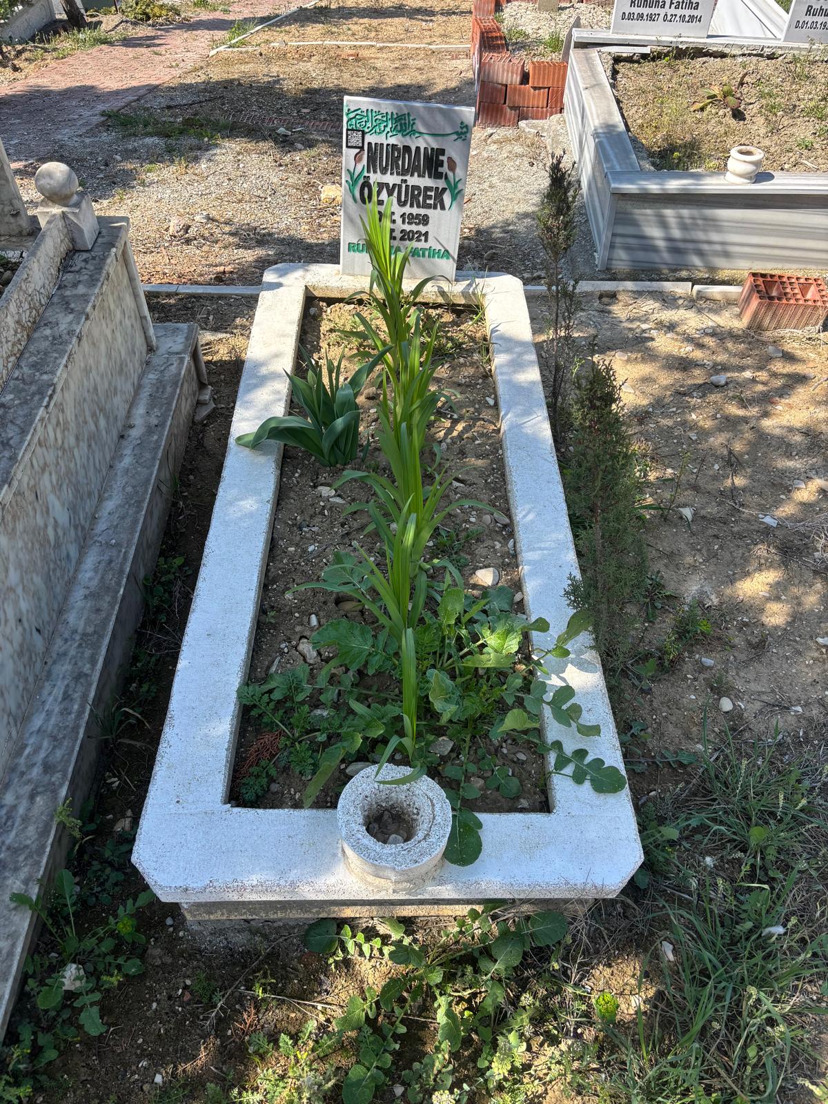 NURDANE ÖZYÜREK