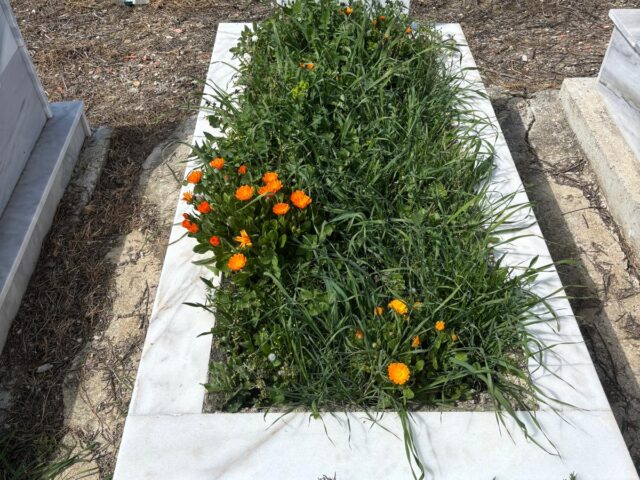 HÜSEYİN ALPAR