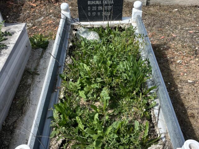 TAHİR UÇAR