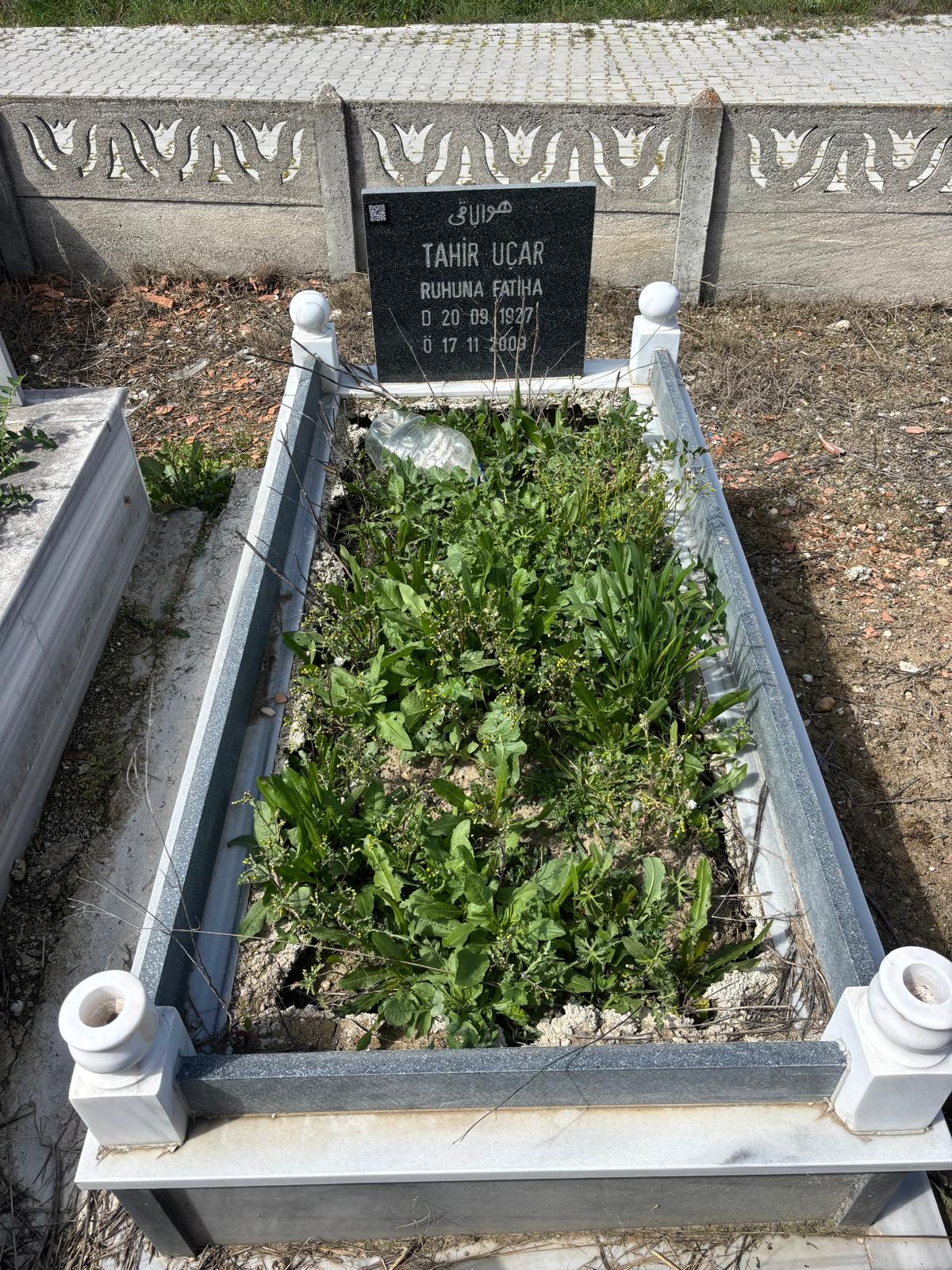 TAHİR UÇAR