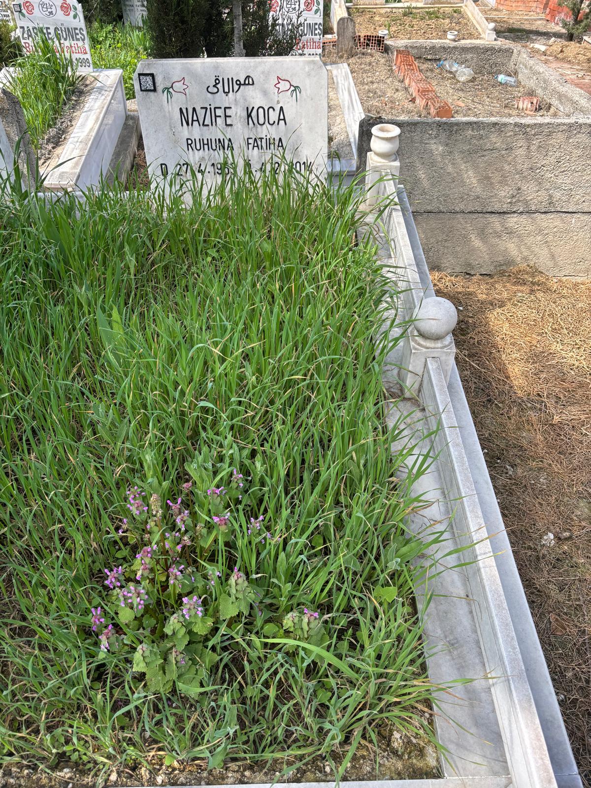 NAZİFE KOCA