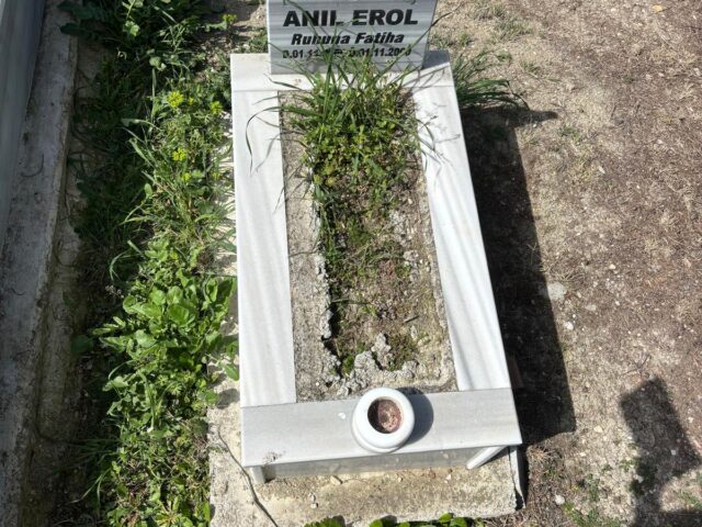 ANIL EROL