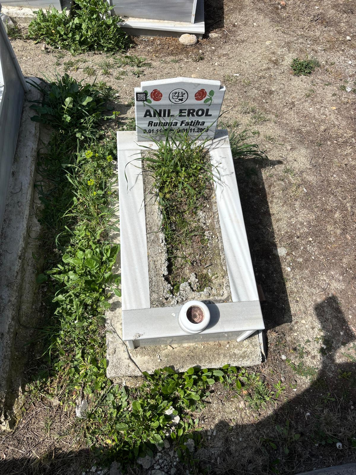 ANIL EROL