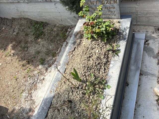 ARİFE ÖZEN