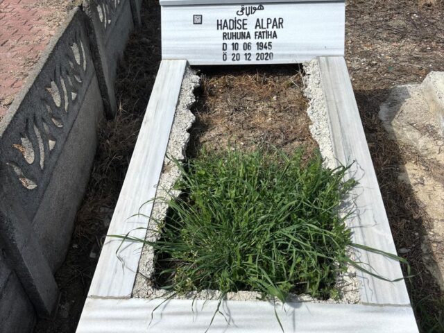 HADİSE ALPAR