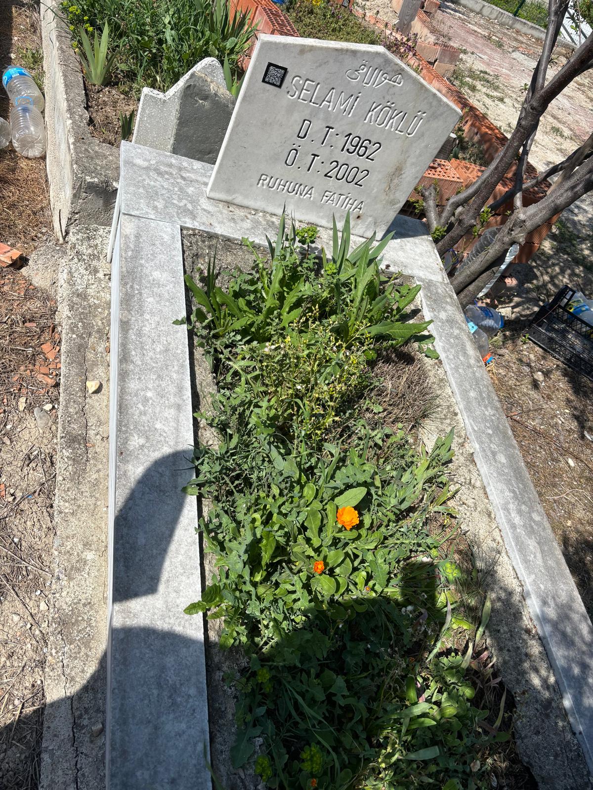 SELAMİ KÖKLÜ