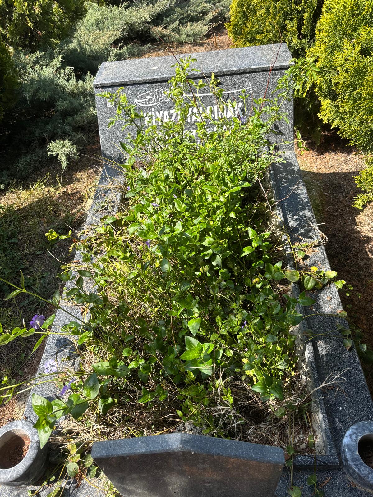 NİYAZİ YALÇINOK