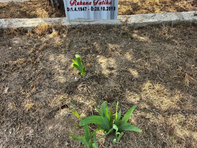 ASİYE KARACA