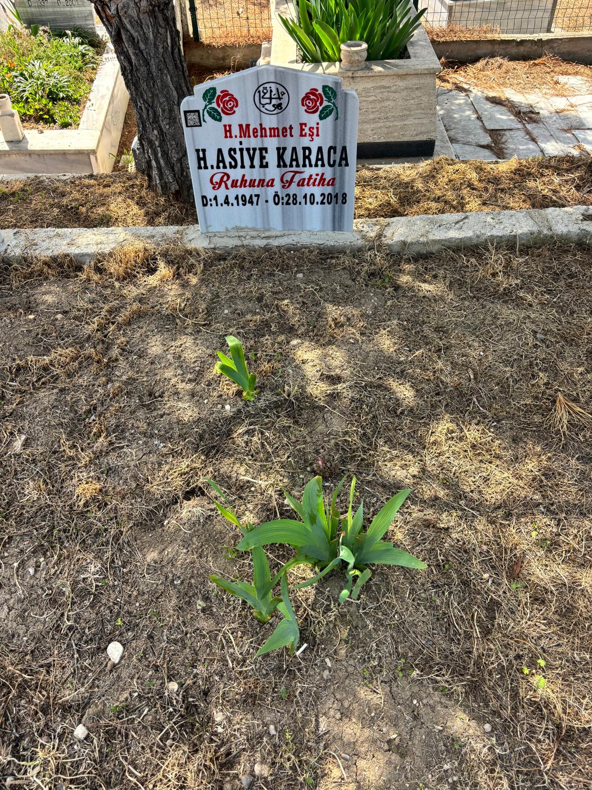 ASİYE KARACA