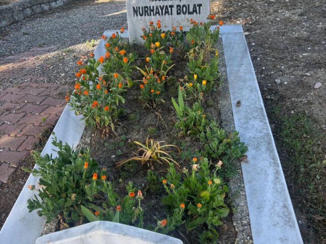 NURHAYAT BOLAT