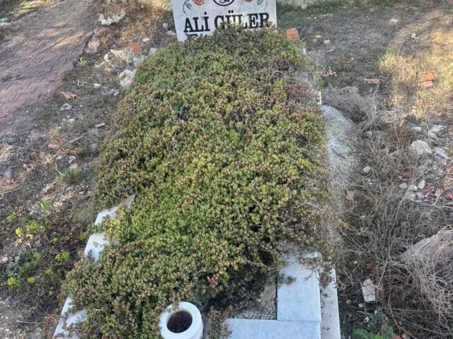 ALİ GÜLER