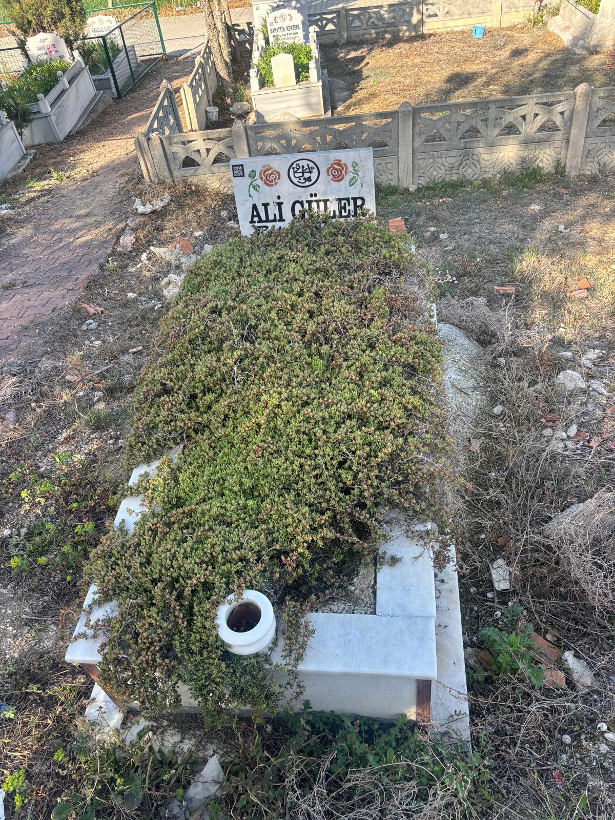 ALİ GÜLER