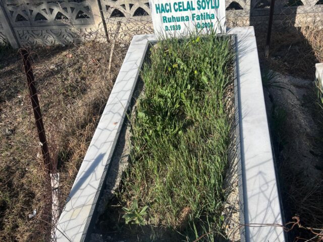 CELAL SOYLU