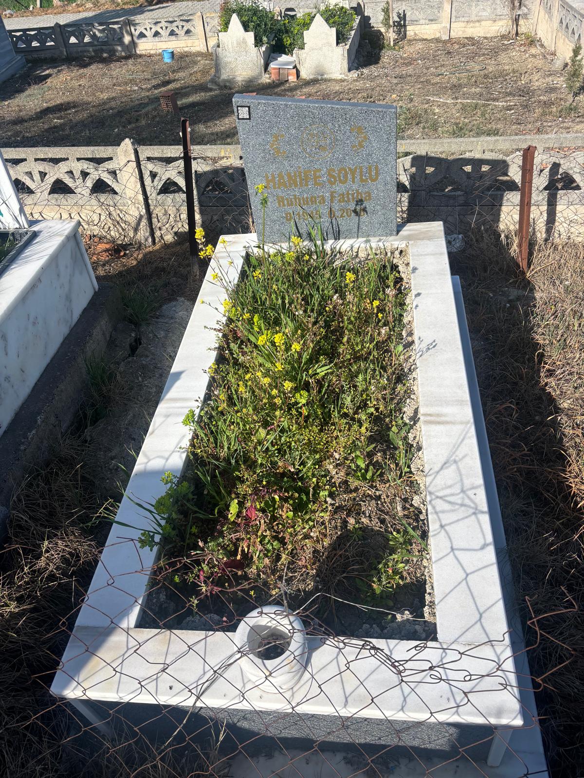 HANİFE SOYLU