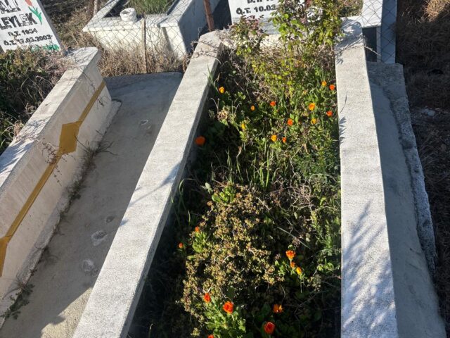 HURİYE LEYLEK