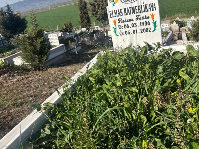ELMAS KATMERLİKAYA