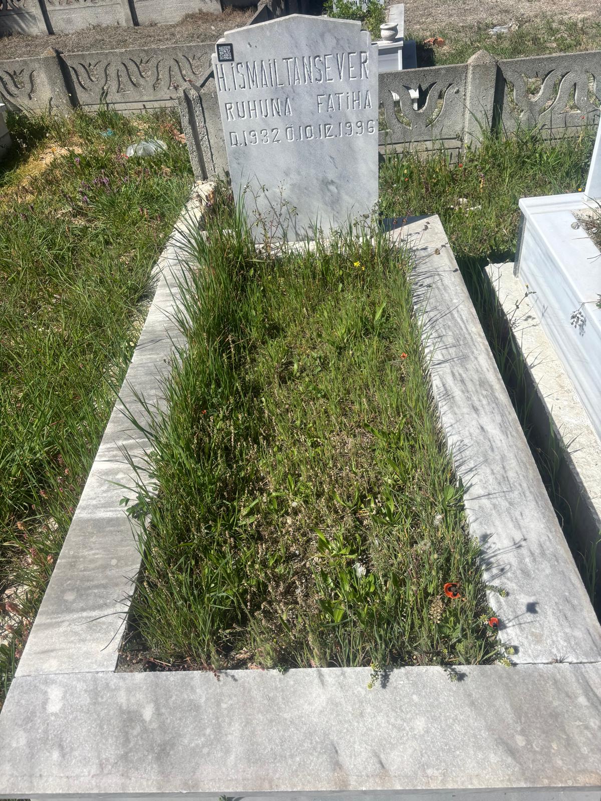 İSMAİL H. TANRISEVER