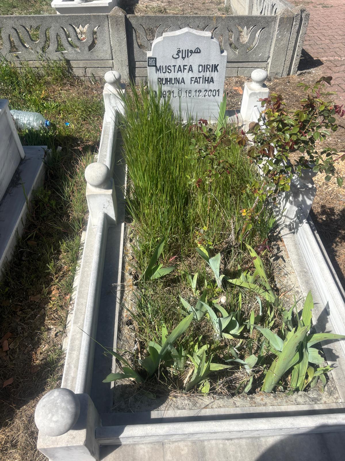MUSTAFA DIRIK