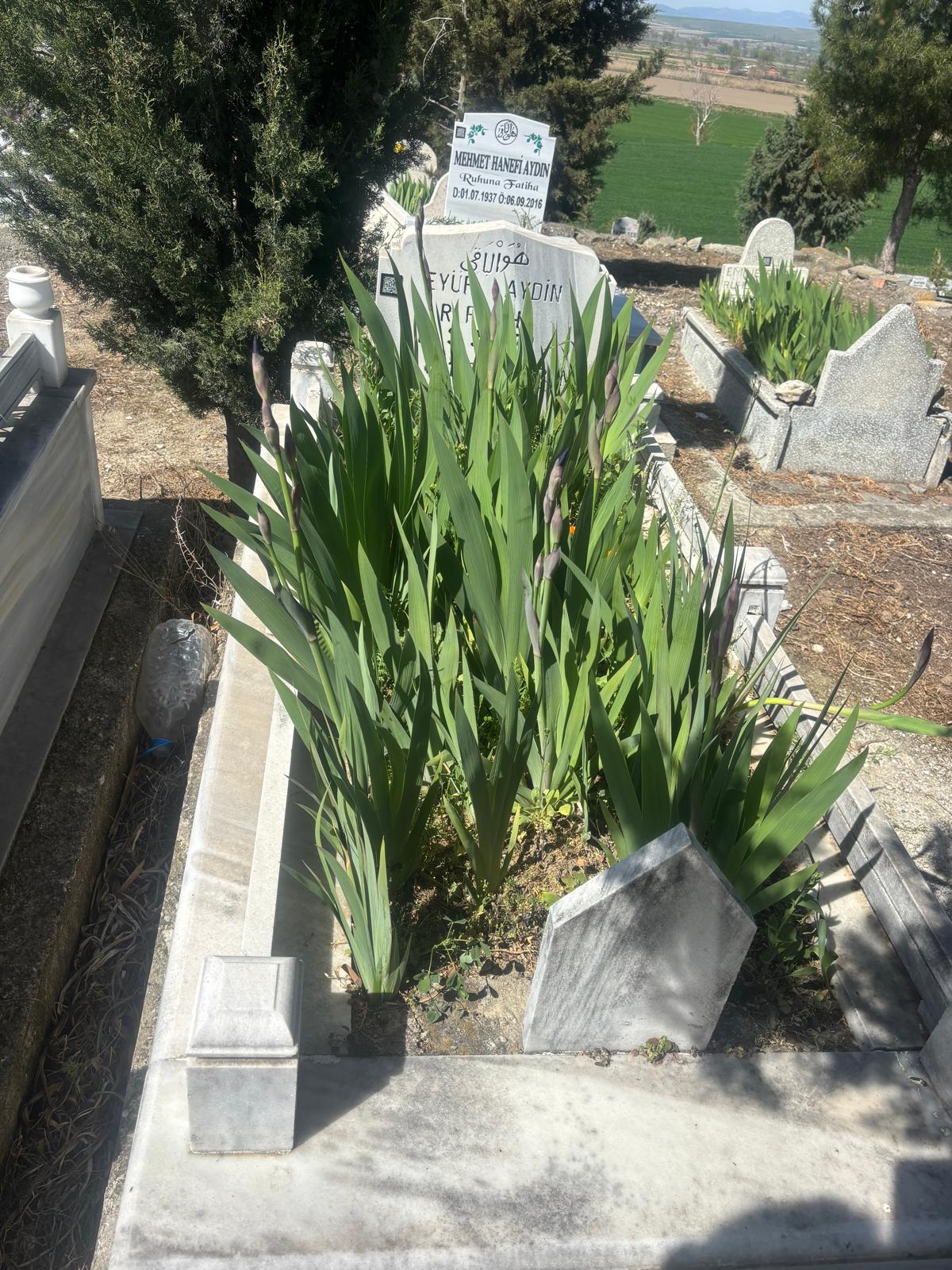 EYÜP AYDIN