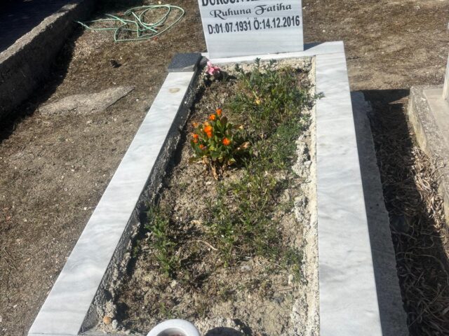 D. ALİ AYDIN