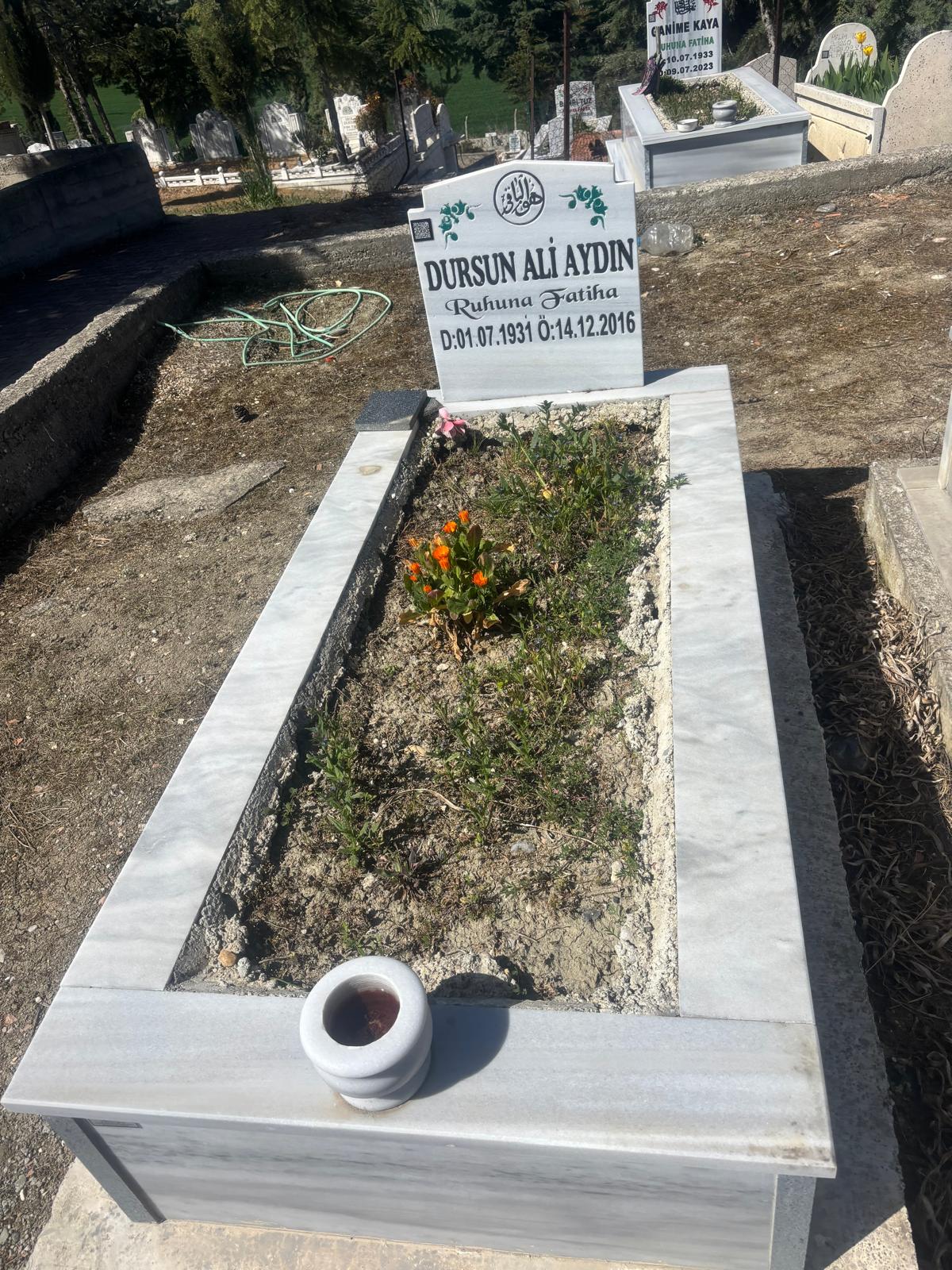 D. ALİ AYDIN