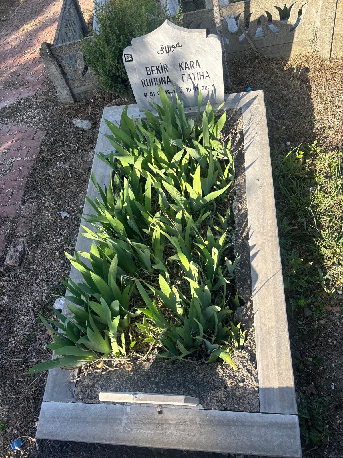 BEKİR KARA