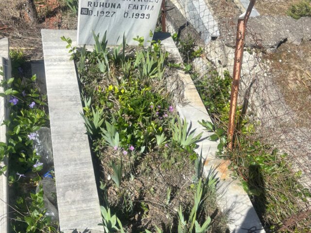 YAŞAR YURTKULU