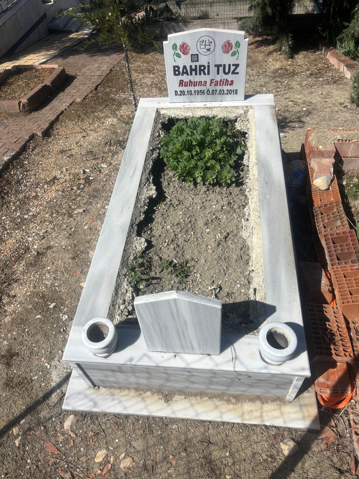 BAHRİ TUZ