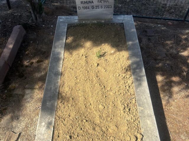 ALAATTİN EROL