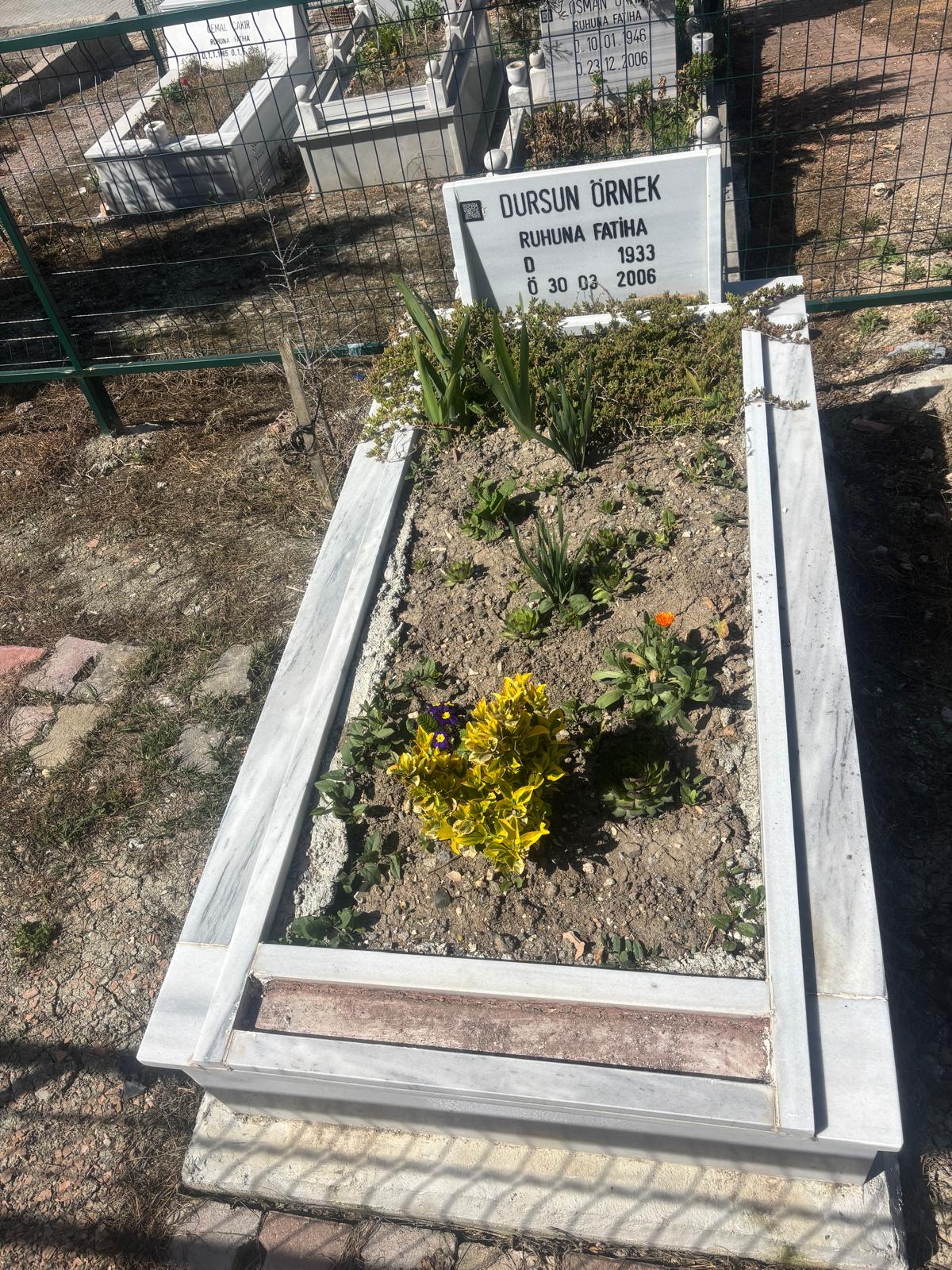 DURSUN ÖRNEK