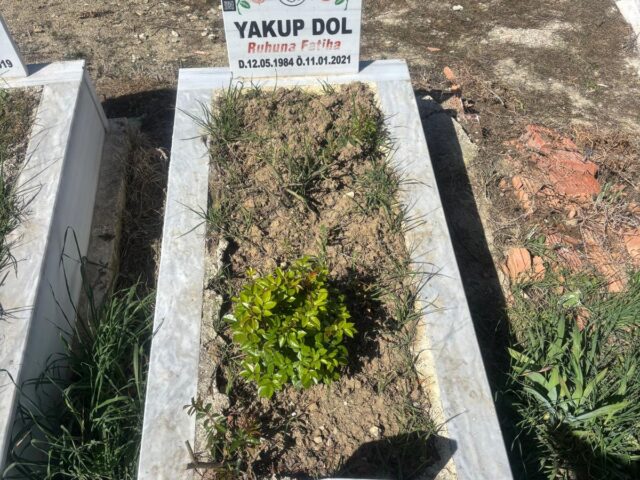 YAKUP DOL
