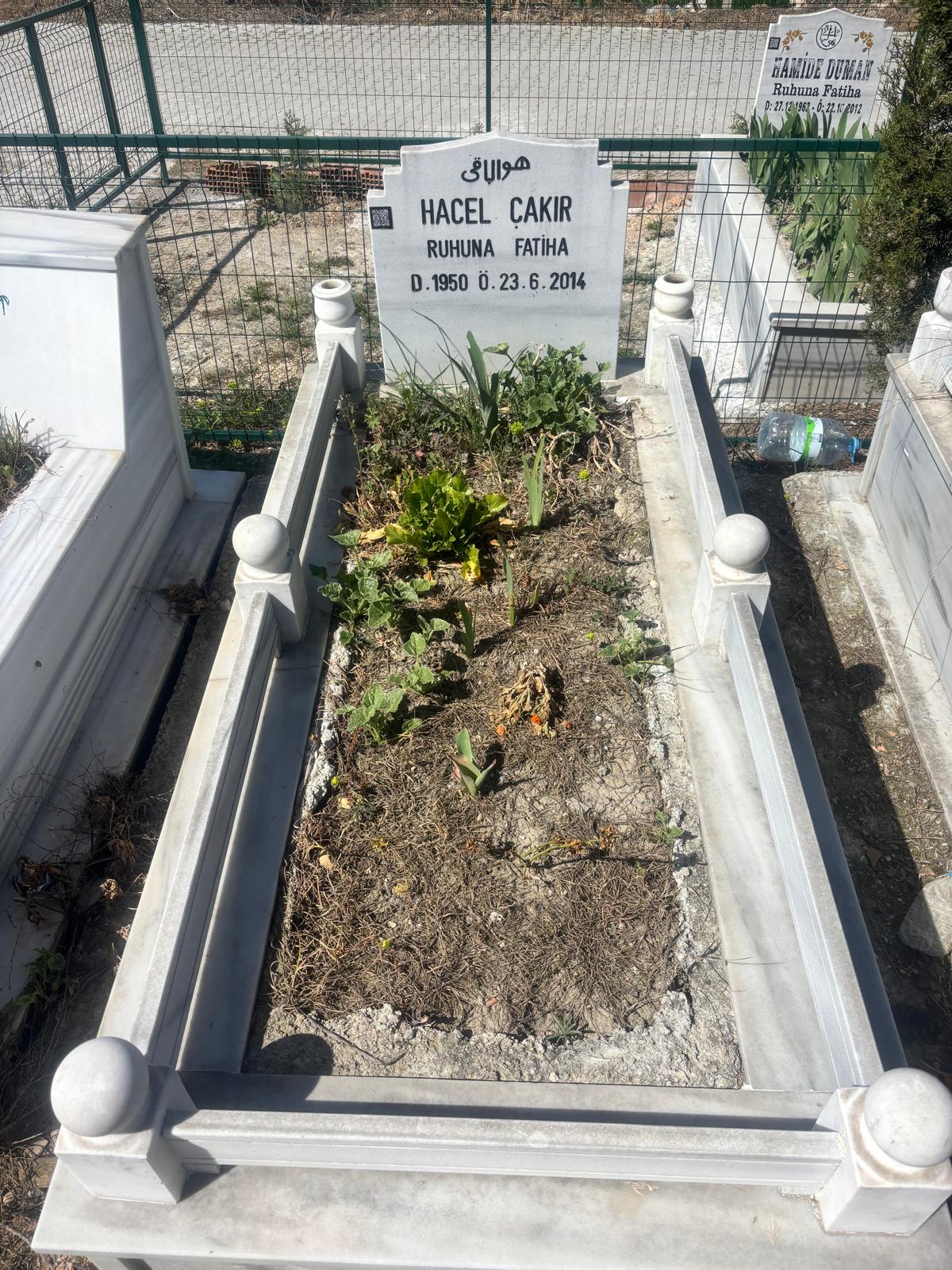 HACEL ÇAKIR