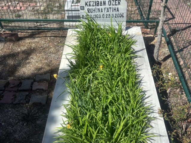 KEZBAN ÖZER