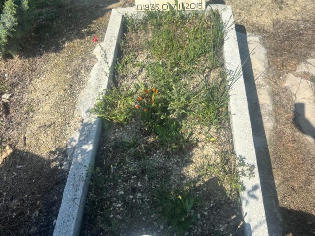 SELVİ KARAKAYA