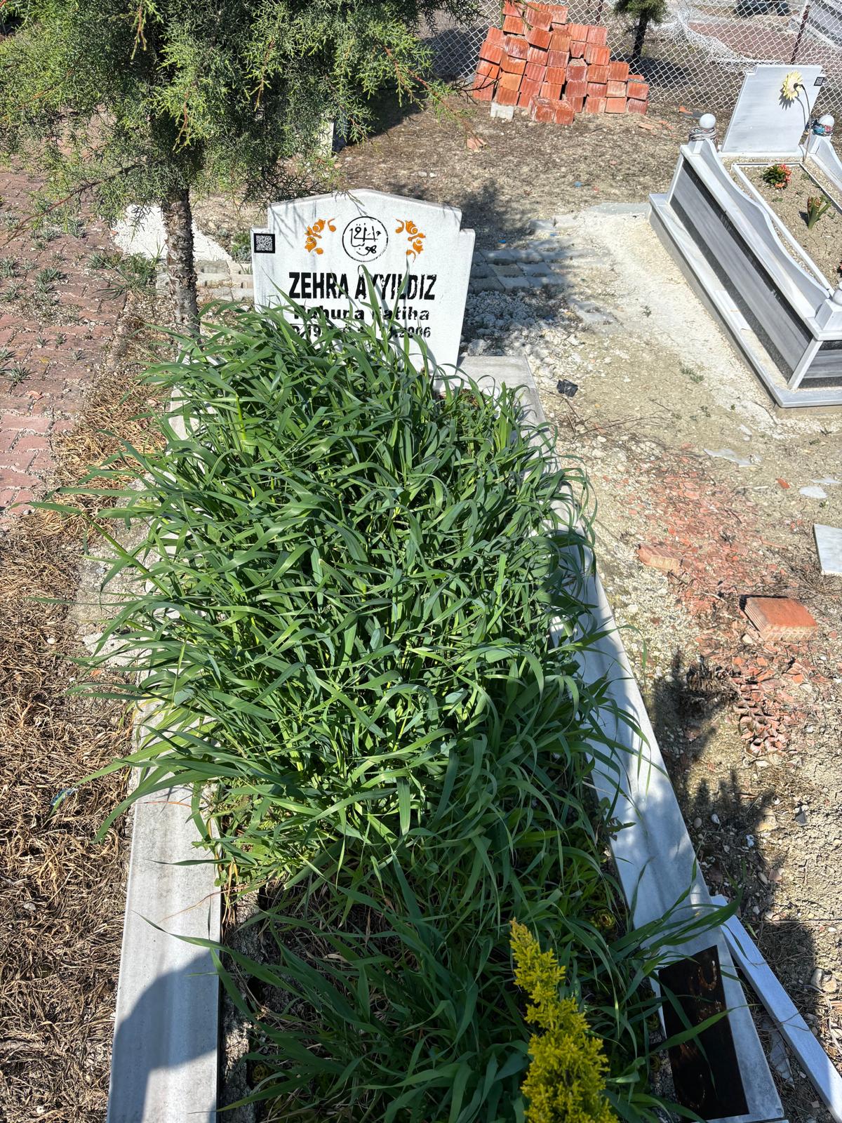 ZEHRA AYYILDIZ