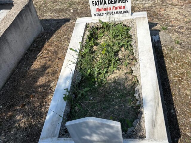 FATMA DEMİRER