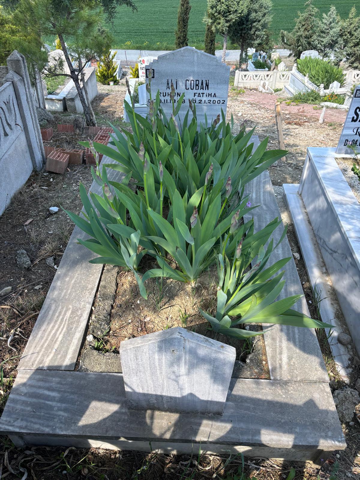 ALİ ÇOBAN