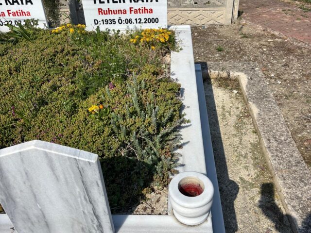 YETER KAYA