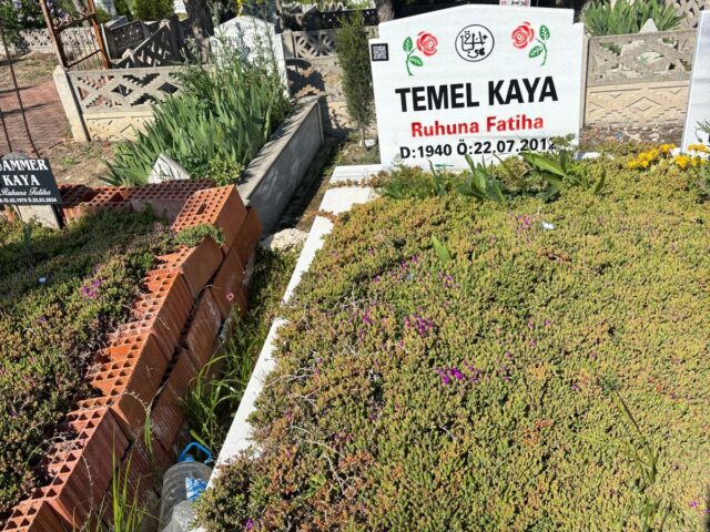 TEMEL KAYA