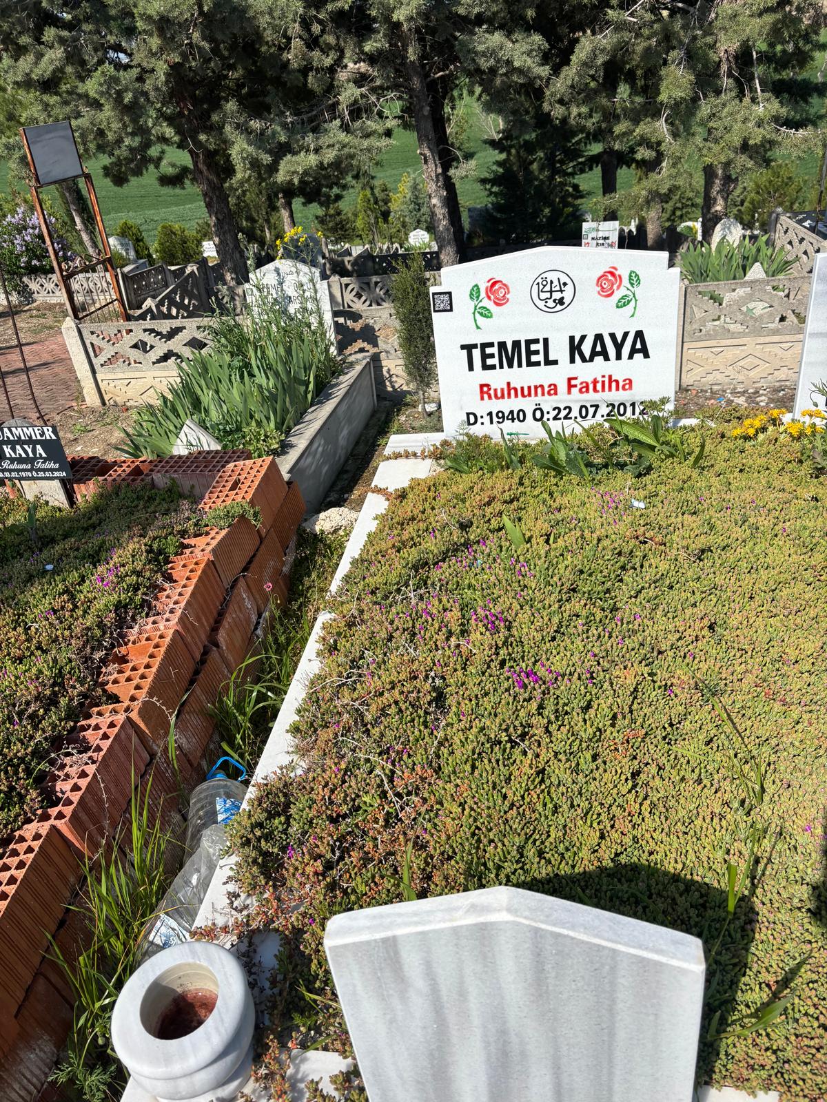 TEMEL KAYA
