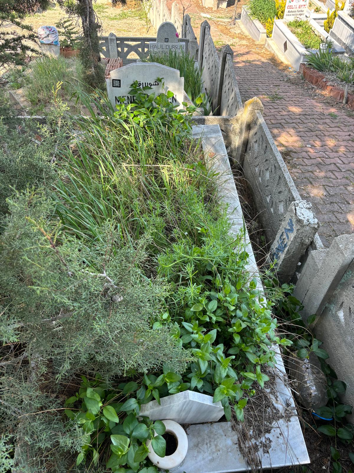 MENEKŞE ÖNEN