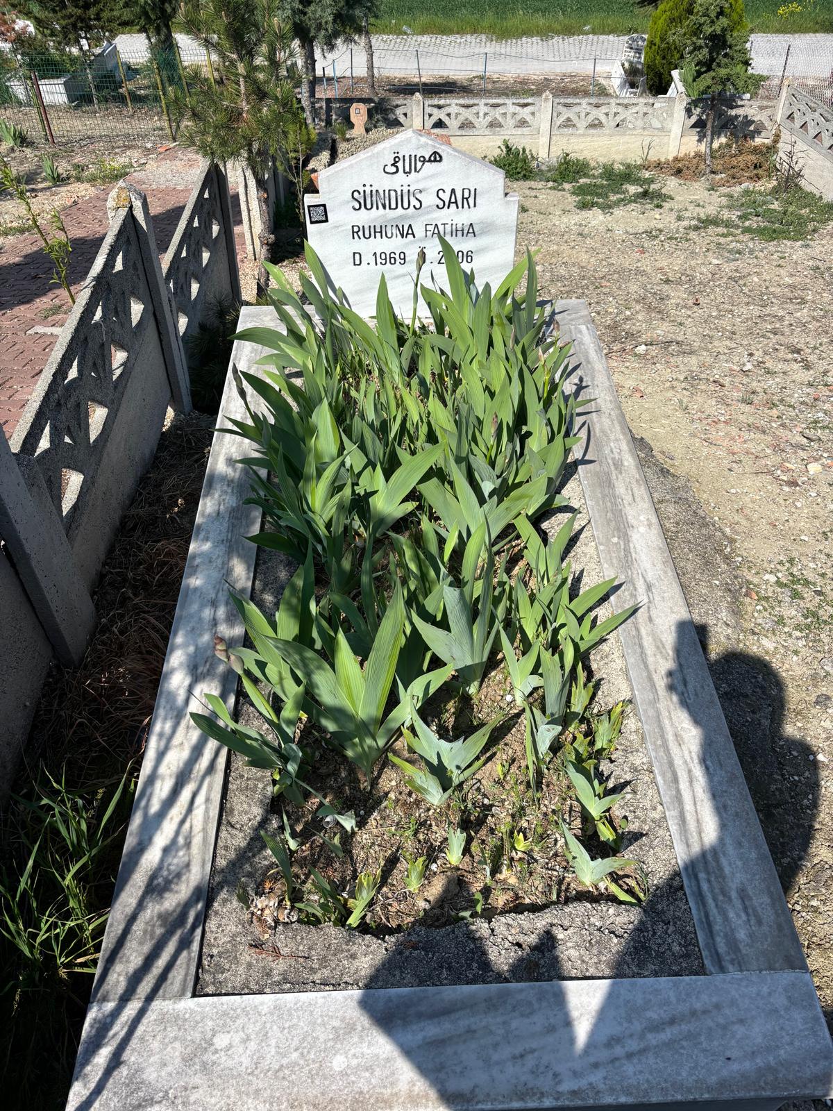 SÜNDÜZ SARI