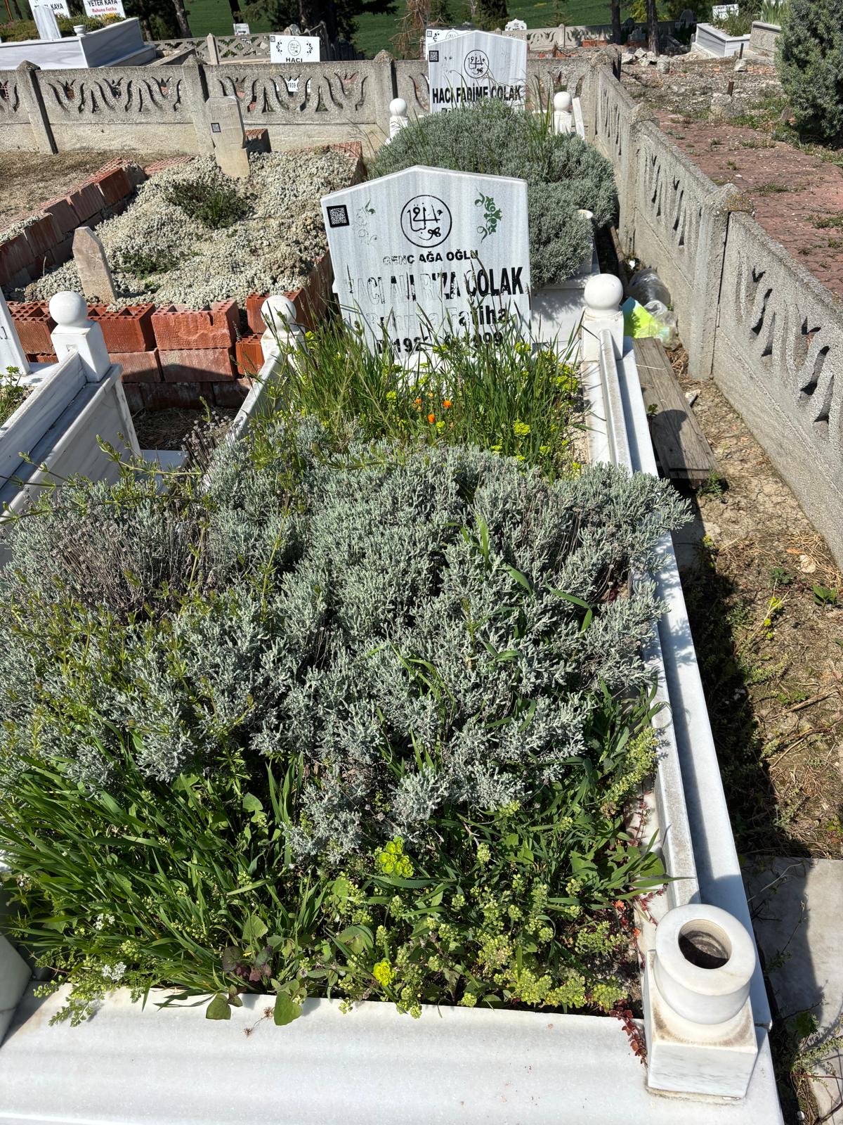 ALİ RIZA ÇOLAK